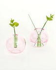 Glass Bubble Vase