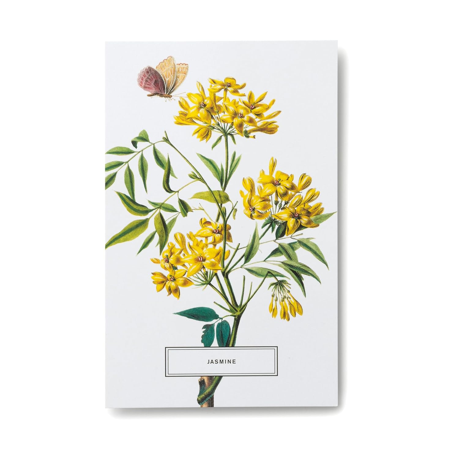 In Full Bloom: 100 Postcards from the Archives of the New York Botanical Garden