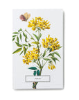 In Full Bloom: 100 Postcards from the Archives of the New York Botanical Garden