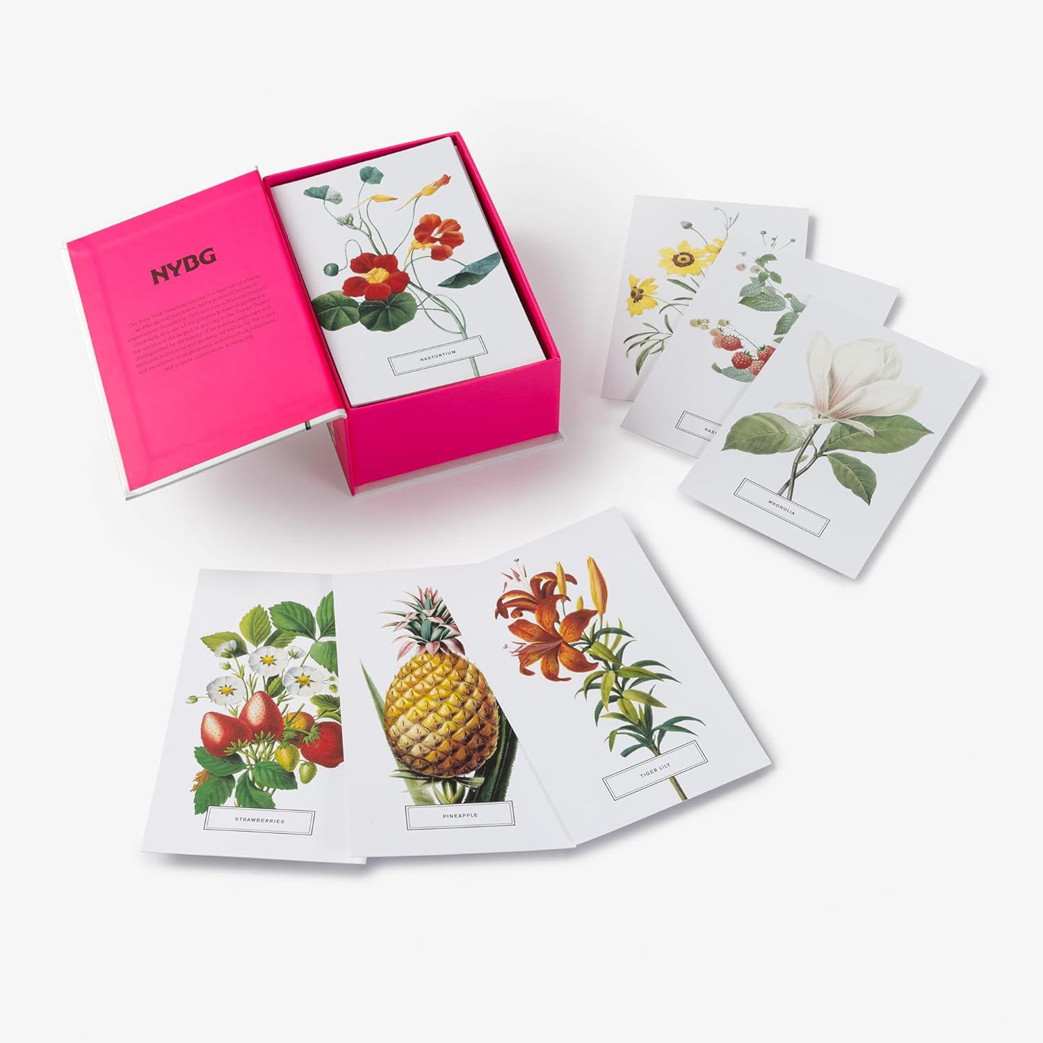 In Full Bloom: 100 Postcards from the Archives of the New York Botanical Garden