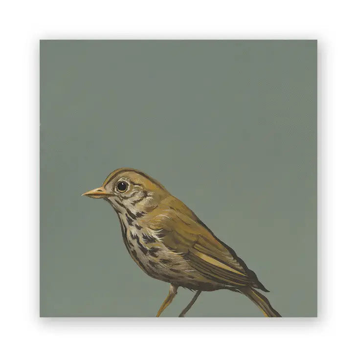 Thrush on Birch