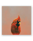 Northern Cardinal on Birch