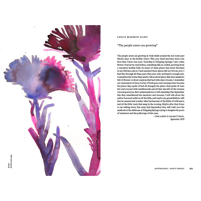 American Wildflowers: A Literary Field Guide