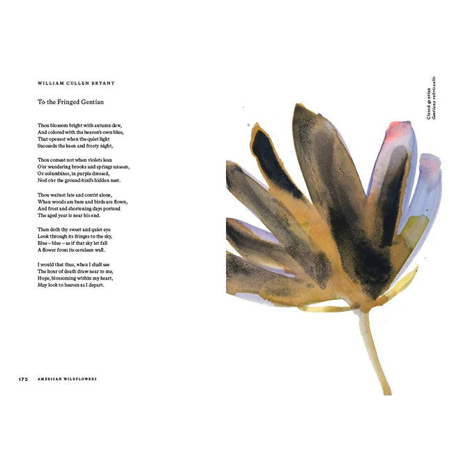 American Wildflowers: A Literary Field Guide