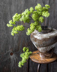 Spring Green Guelder Stem