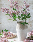 Japanese Cherry Blossom Stem