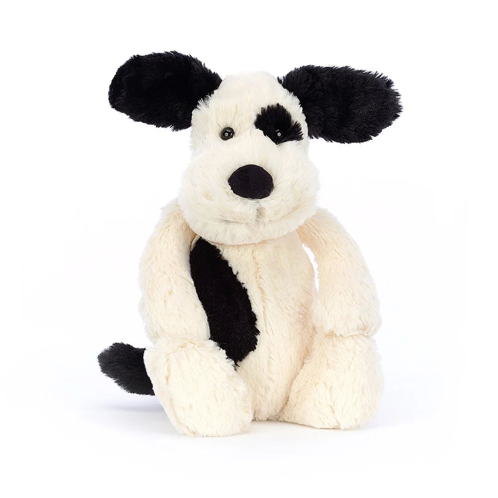 Black and Cream Puppy