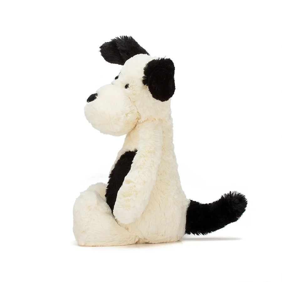 Black and Cream Puppy