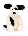 Black and Cream Puppy