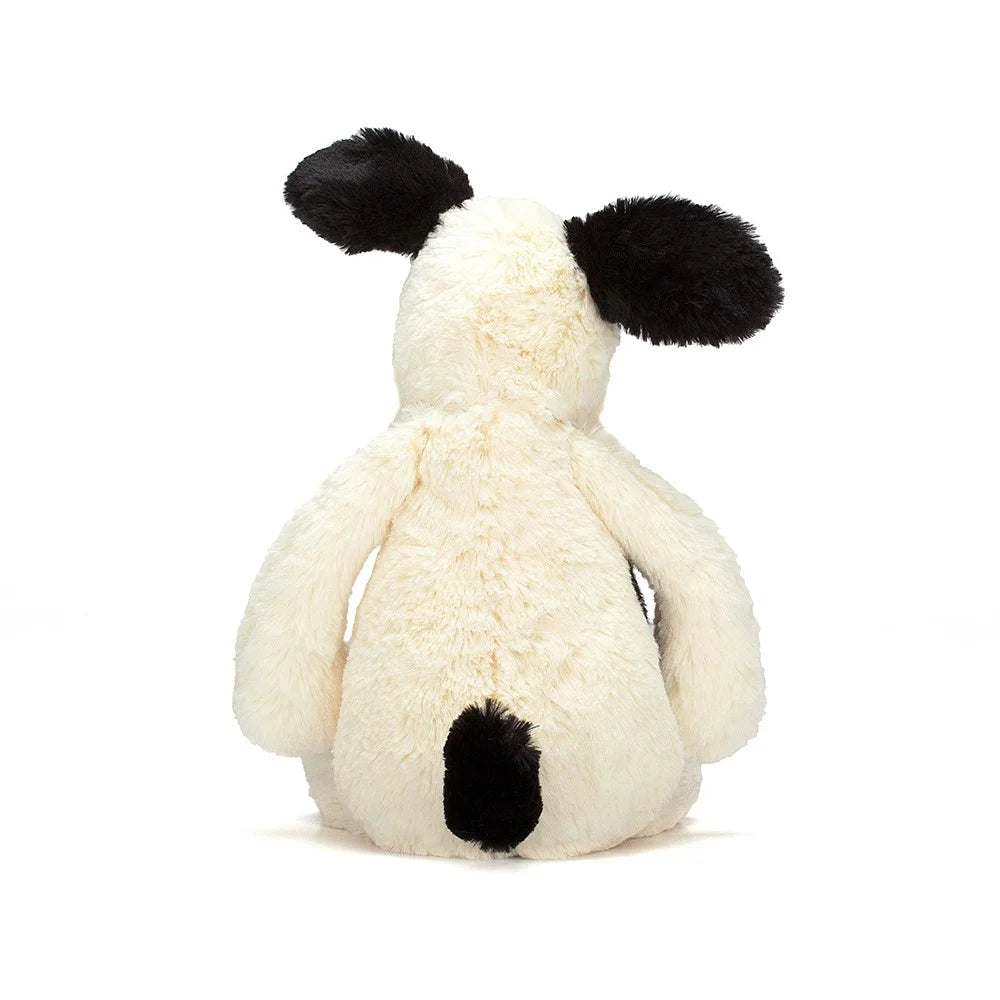 Black and Cream Puppy