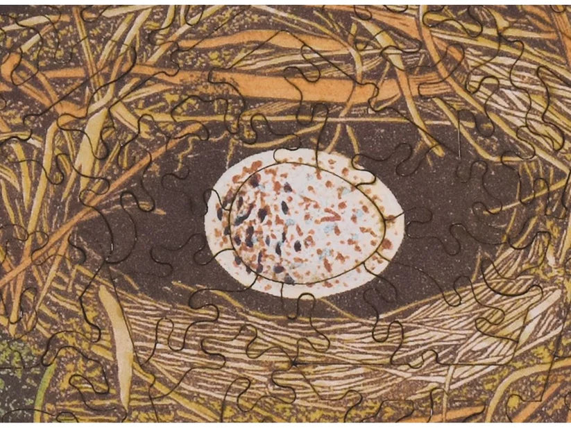 Bird's Nest Wooden Puzzle