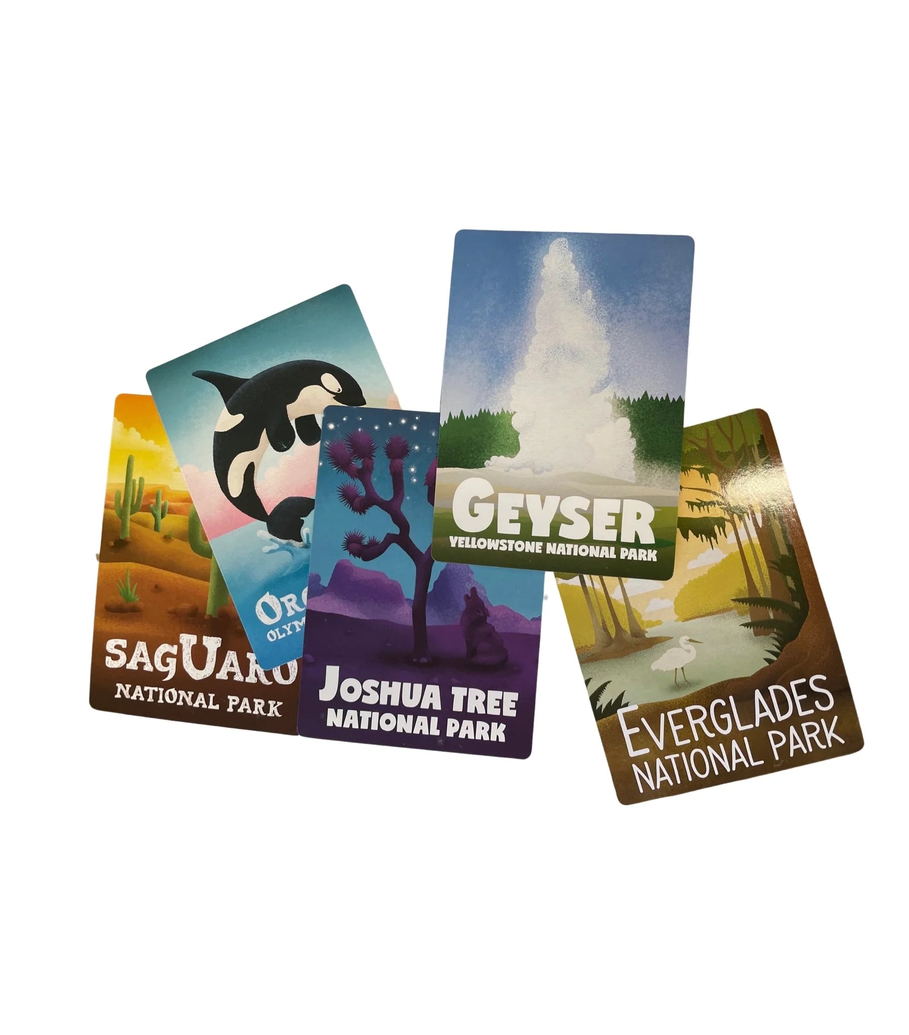 All About the National Parks Flash Cards