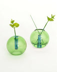 Glass Bubble Vase
