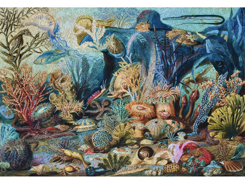 Ocean Life Wooden Puzzle