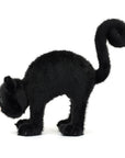 Spookipaws Cat