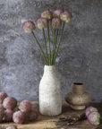 Sunset Allium Bunch