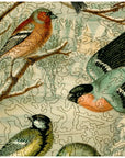Central European Songbirds Wooden Puzzle
