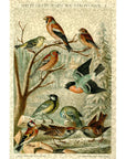 Central European Songbirds Wooden Puzzle