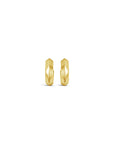 The Good Lookin' Hoop Earrings
