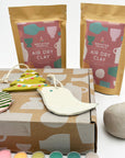 Holiday Ornaments Clay Activity Kit