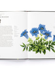 The Story of Flowers