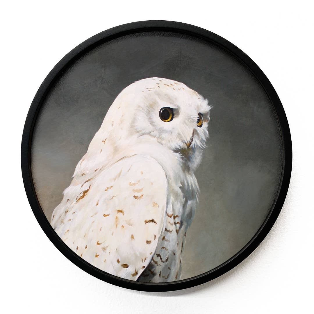Snowy Owl on Round Birch
