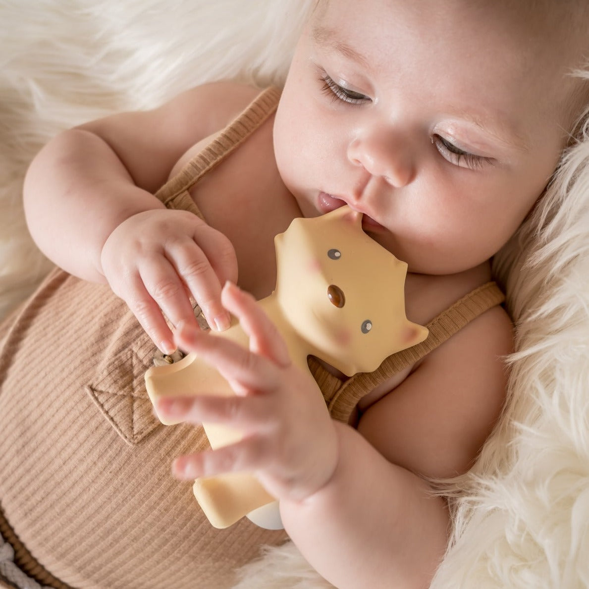 Arctic Fox Teether, Rattle, & Bath Toy