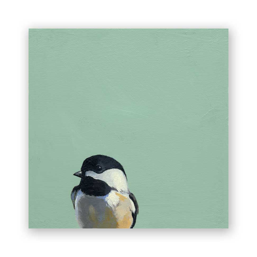 Chickadee on Birch