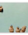 Fictional Finches on Birch
