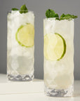 Gem Crystal Highball Glasses