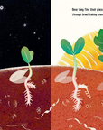 Seeds