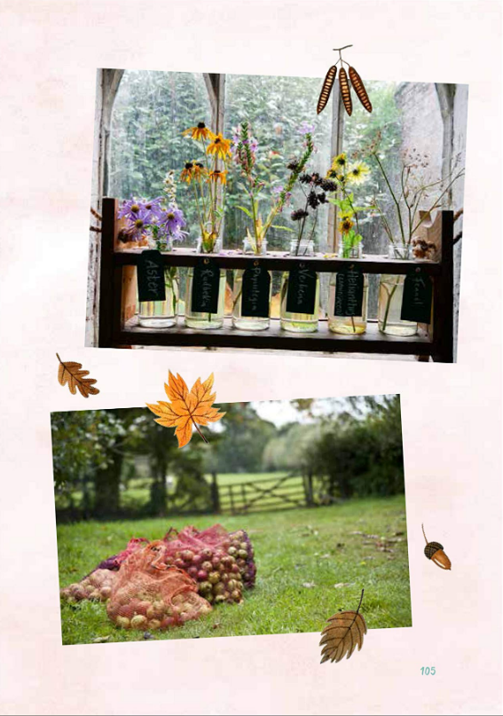 A Breath of Fresh Air: How to Feel Good All Year Round