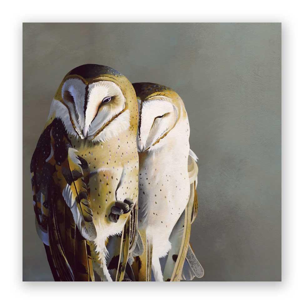Barn Owl Pair on Birch