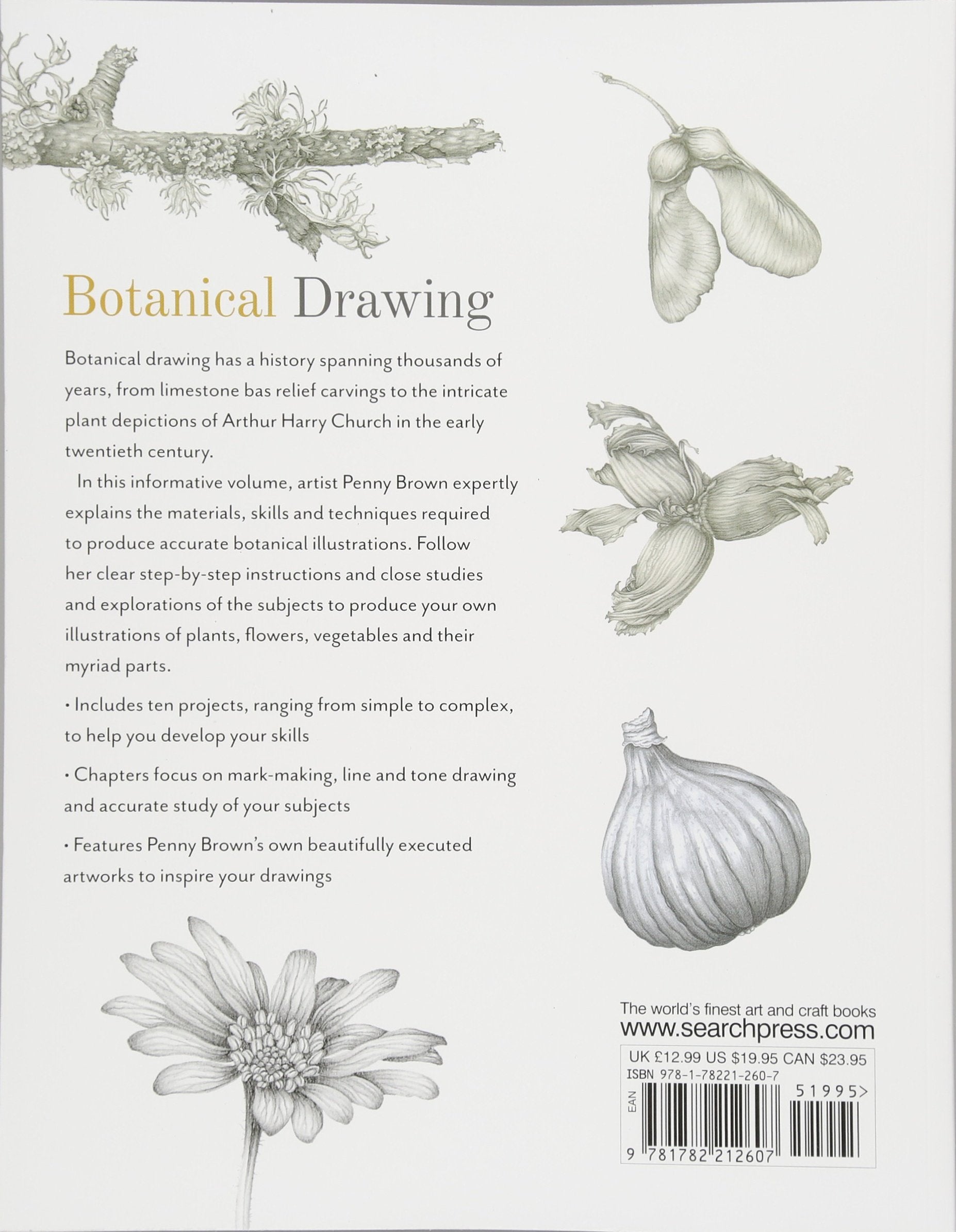 Botanical Drawing: A Step by Step Guide