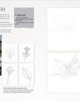 Botanical Drawing: A Step by Step Guide