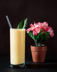 Golden Milk Powder