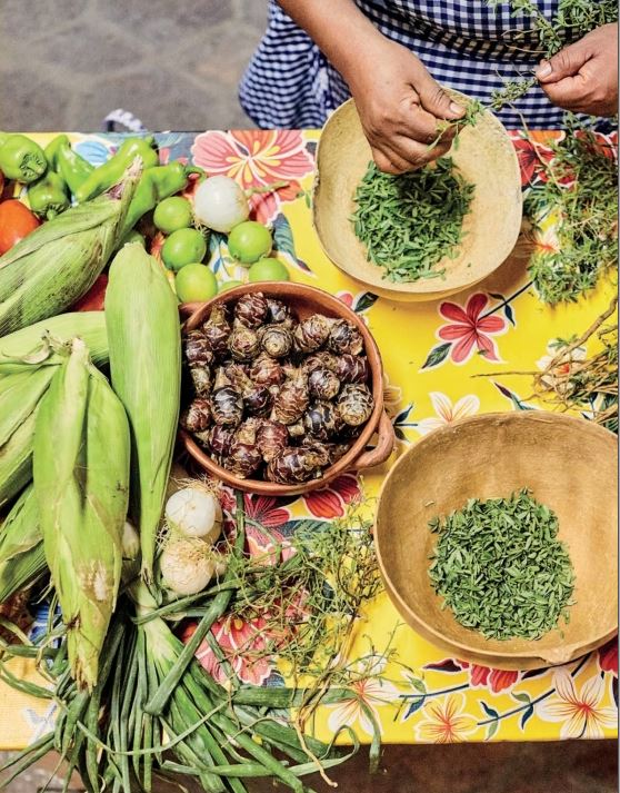 The Food of Oaxaca