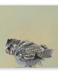 Scops Owl on Birch