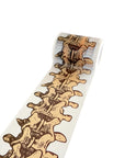 This Is Spinal Tape