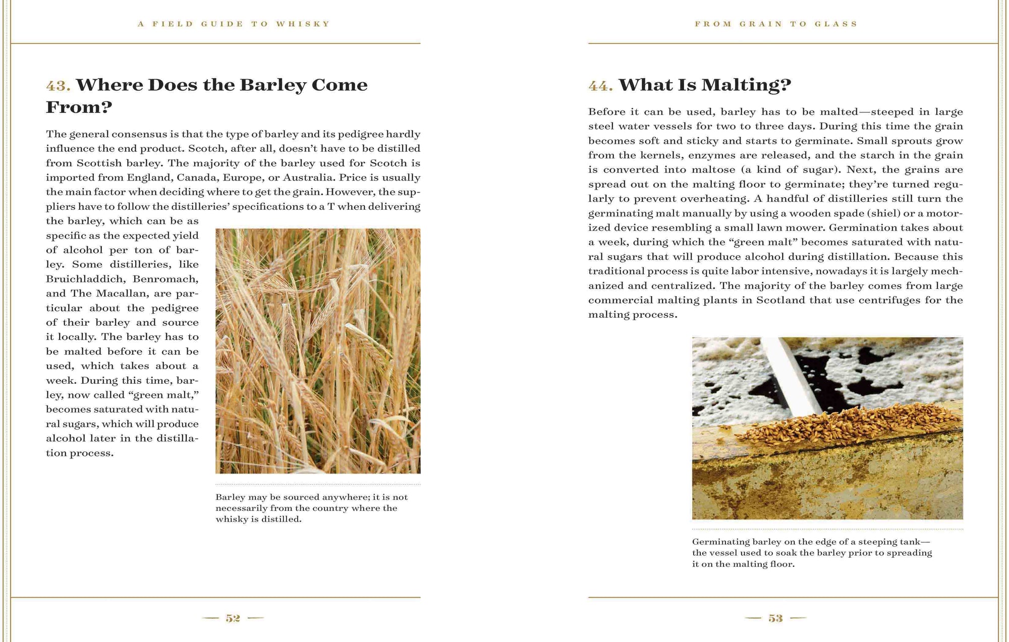 A Field Guide to Whisky