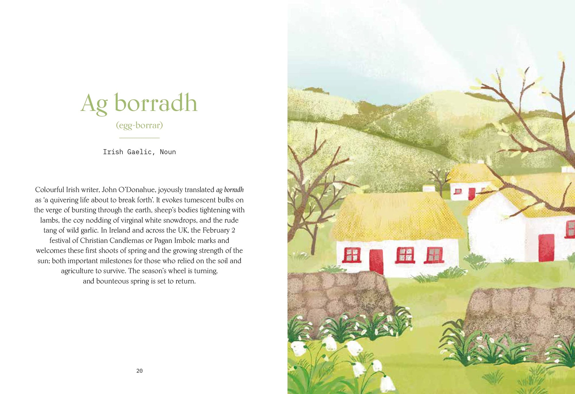 Wild Words: A Collection of Words from Around the Word Describing Happenings in Nature