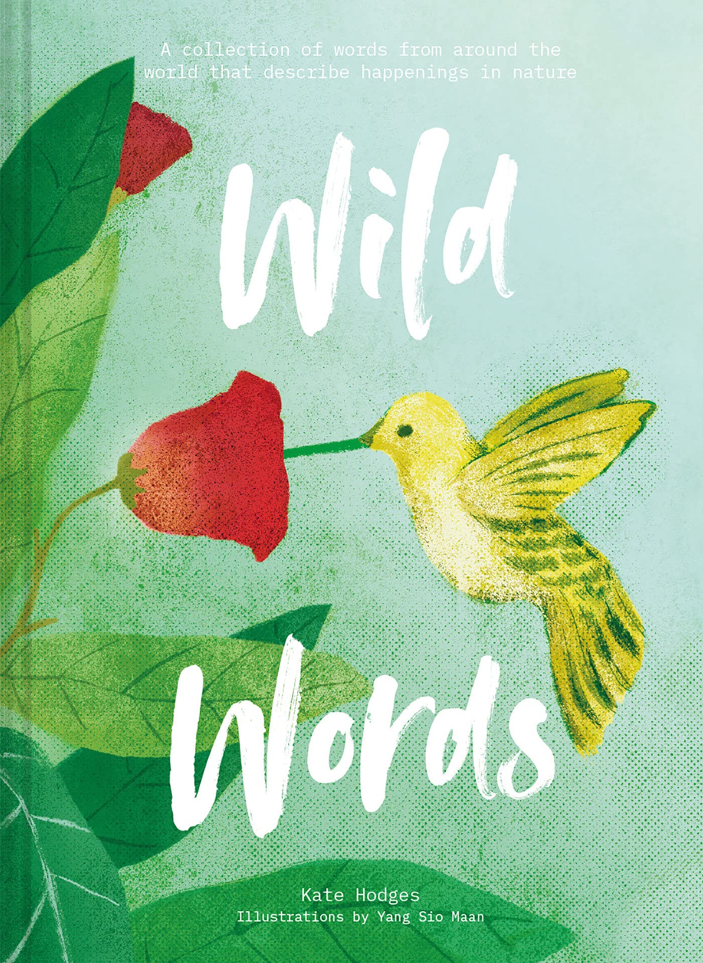 Wild Words: A Collection of Words from Around the Word Describing Happenings in Nature