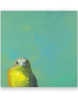 Yellow Bird on Birch