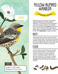 Kid’s Guide to Backyard Birds