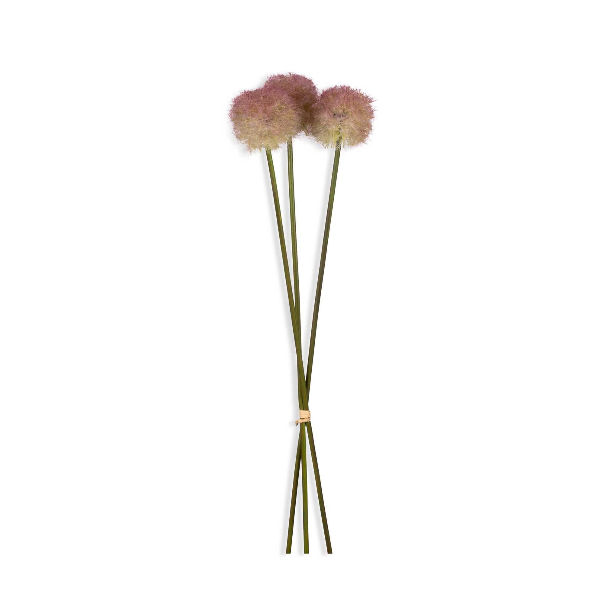Sunset Allium Bunch
