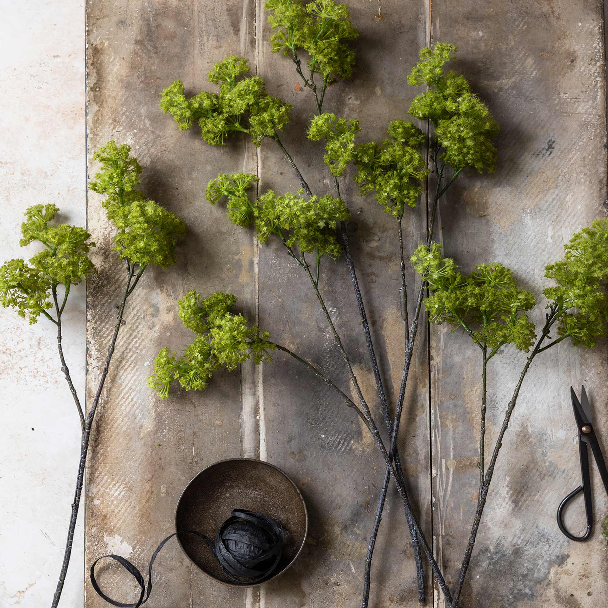 Spring Green Guelder Stem