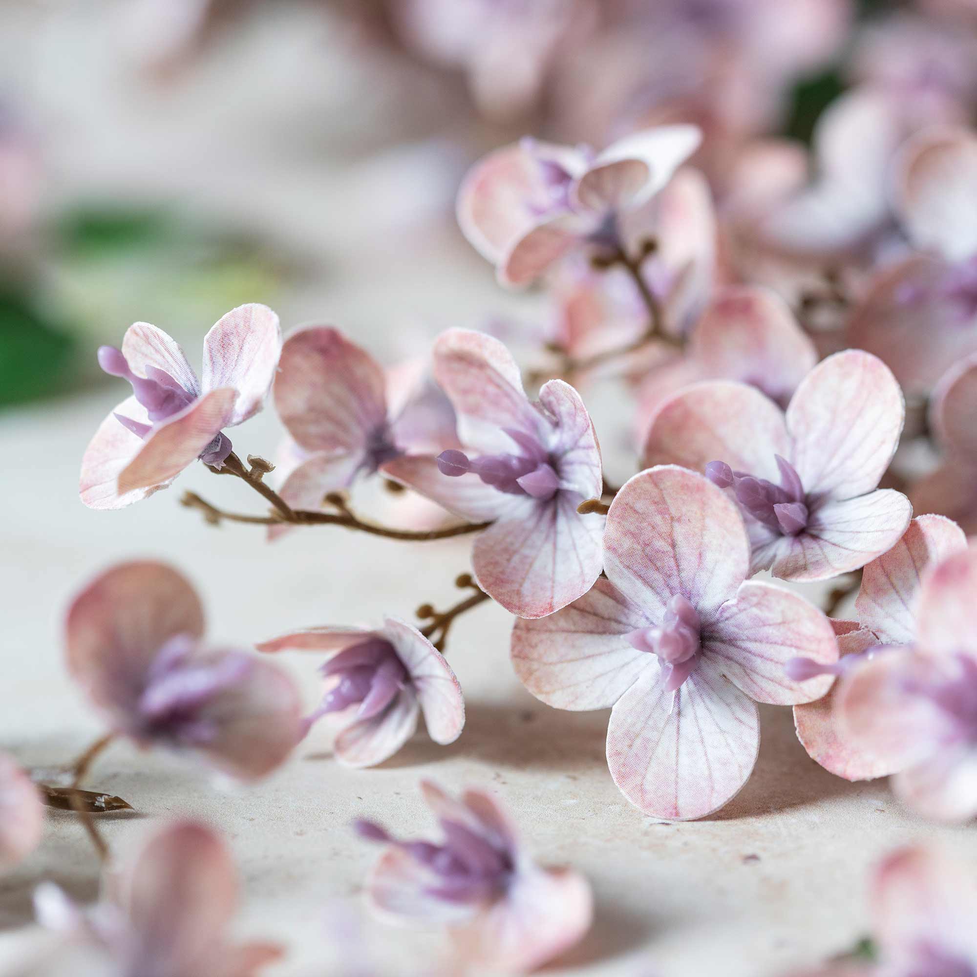 Japanese Cherry Blossom Stem