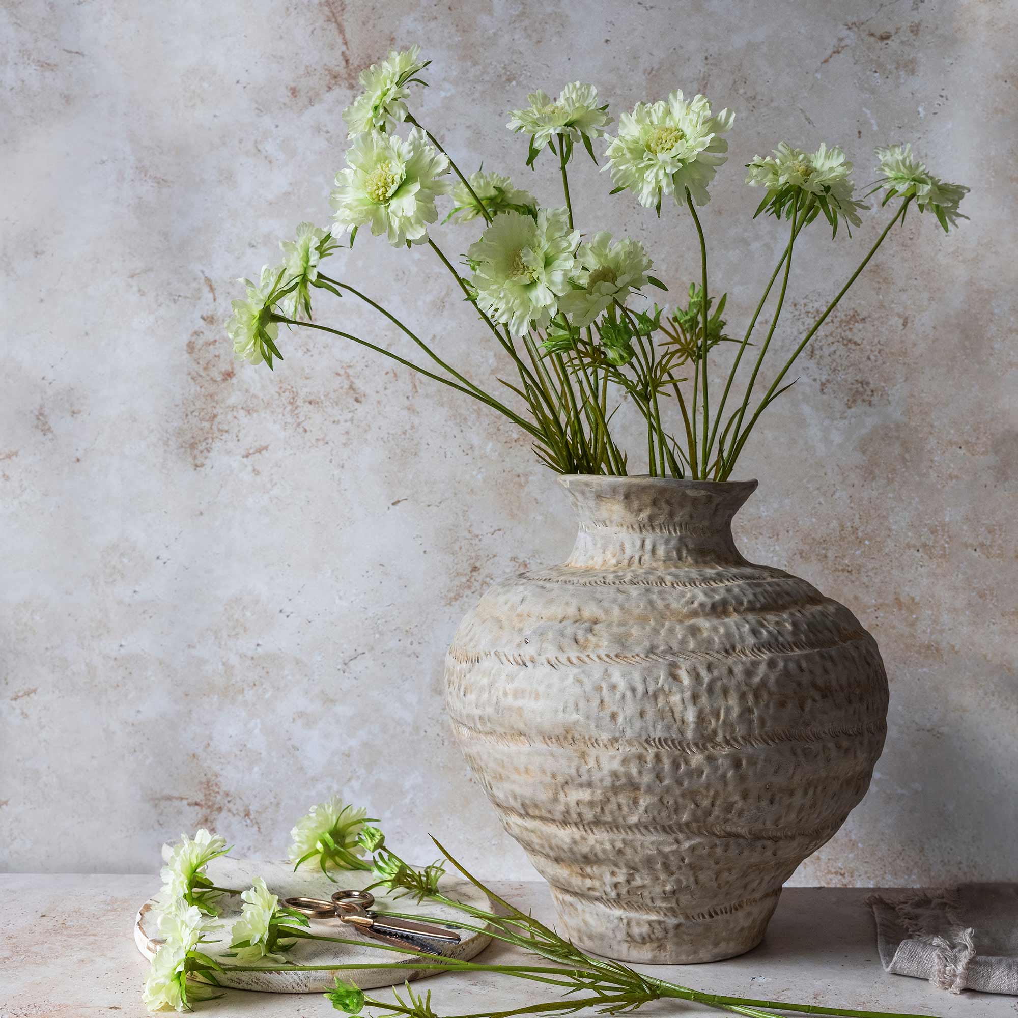 Scabious Flower Stem