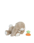 Binky Bunny Hop
