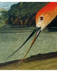 American Avocet Wooden Puzzle